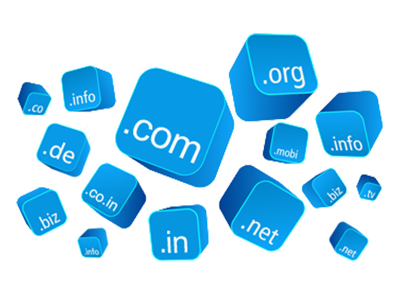 Domain Registration